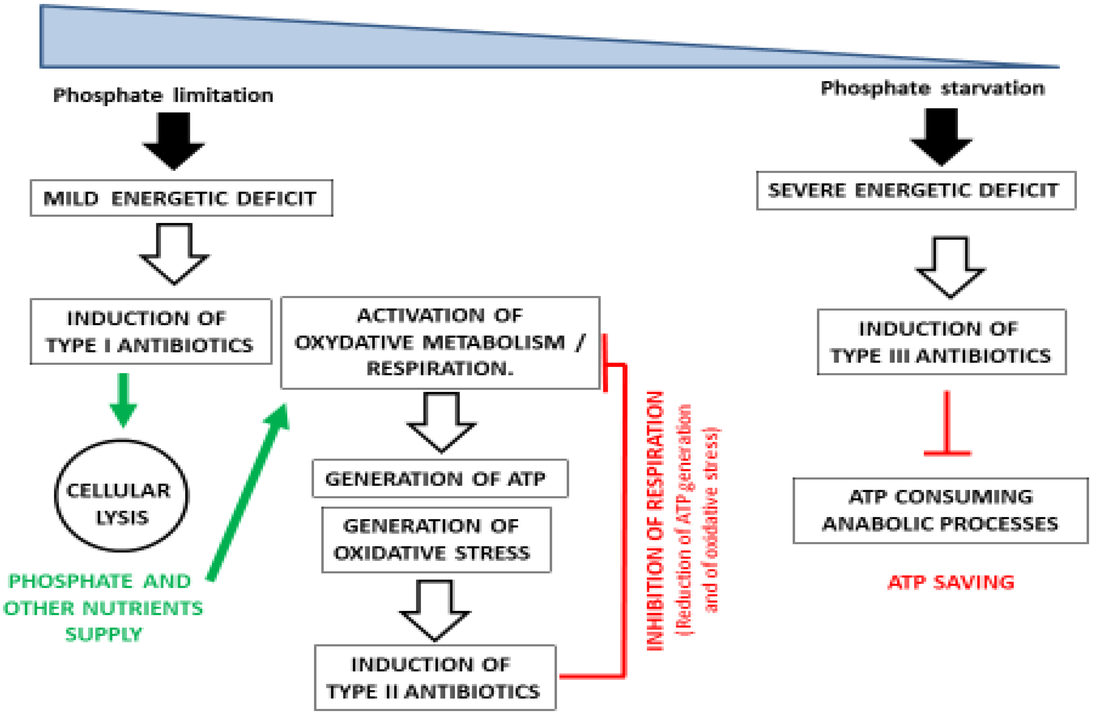 Desain ruang produksi antibiotik