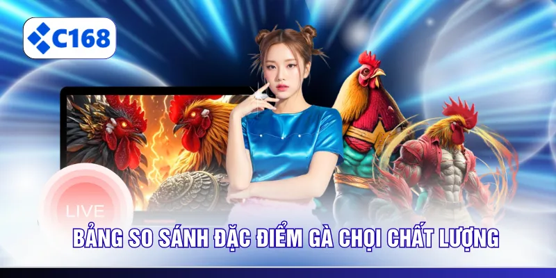 Bảng so sánh đặc điểm gà chọi chất lượng