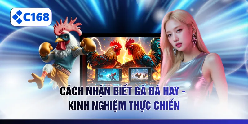 Cách nhận biết gà đá hay