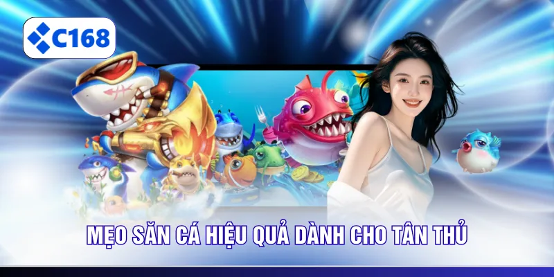 Mẹo săn cá hiệu quả dành cho tân thủ