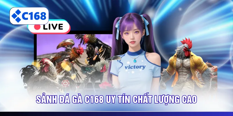 Sảnh đá gà C168 uy tín chất lượng cao